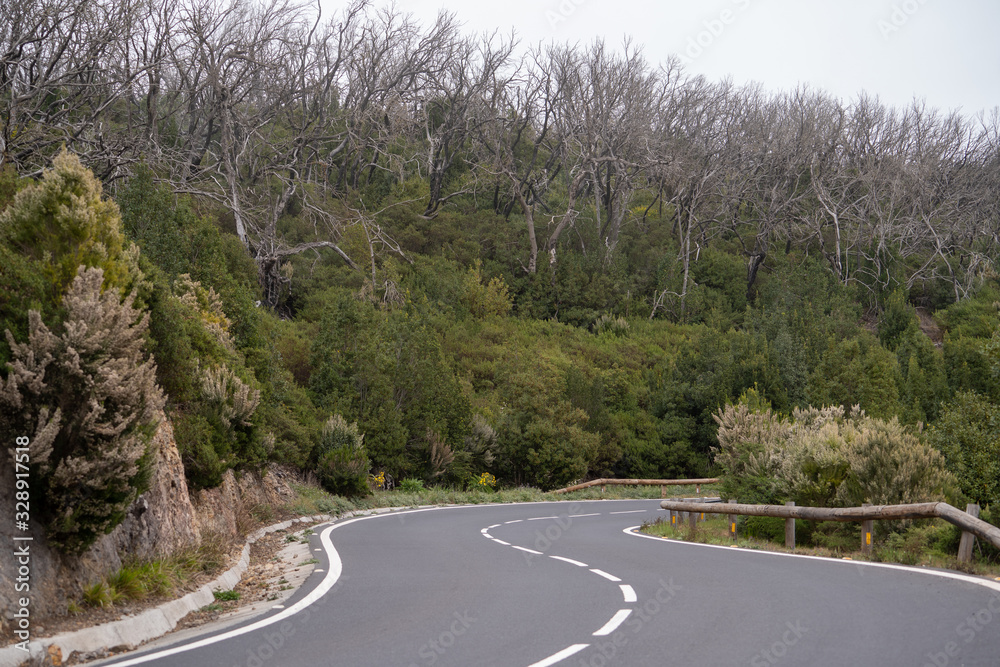 Fototapeta premium La Gomera Valle Gran Rey Kanaren