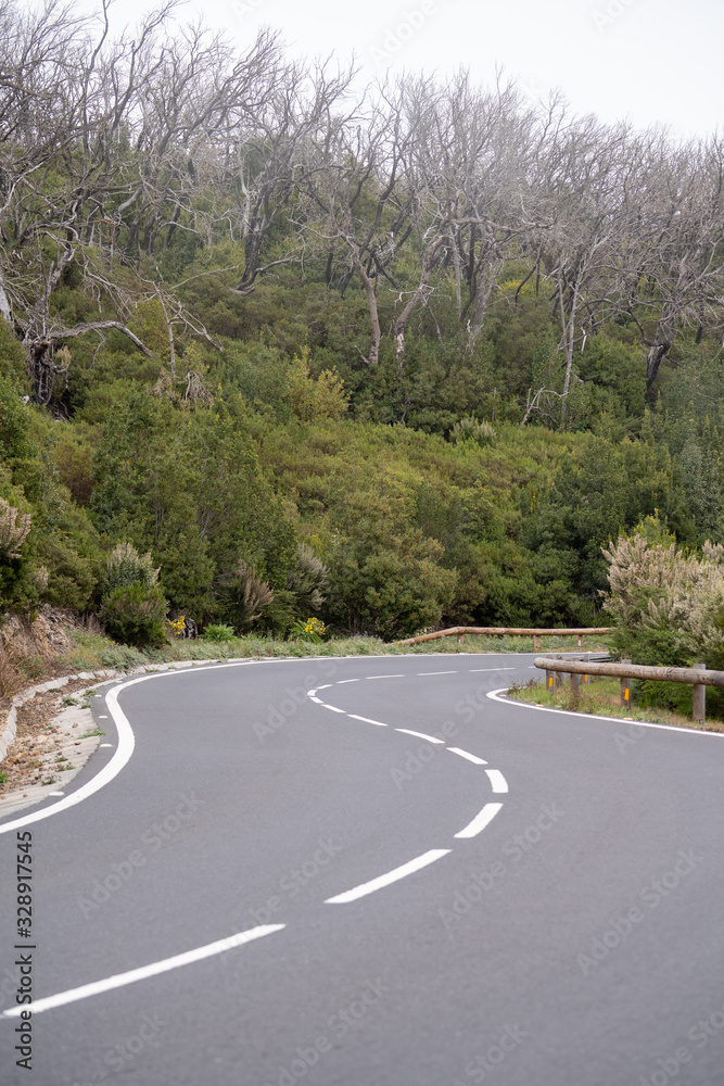 Fototapeta premium La Gomera Valle Gran Rey Kanaren