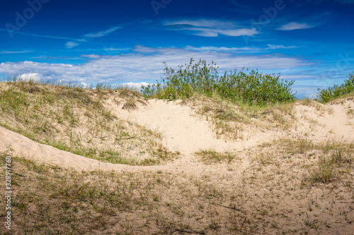 Sand dunes on the beach. Sunny coast  grass and blue sky. Sunset light in northern Latvia  Europe.