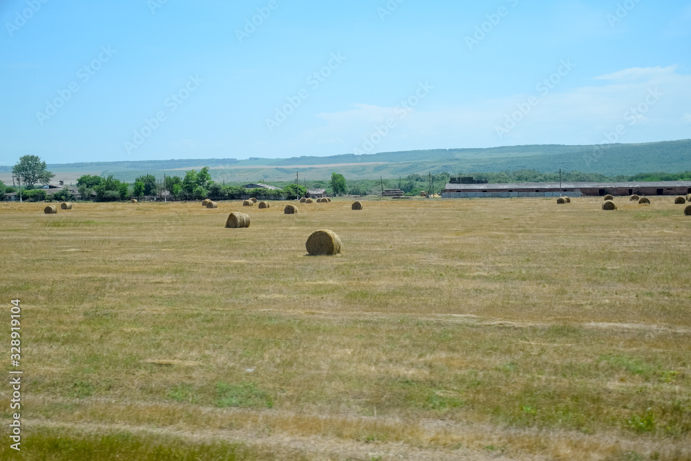 Field with bales of hay. Preparing hay for feeding animals. Newly beveled hay in bales on field. Field with bales of hay. Preparing hay for feeding animals. Newly beveled hay in bales on field.