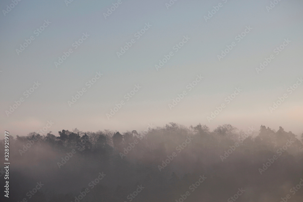 Fototapeta premium Landschaft im Nebel