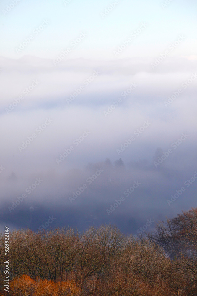 Fototapeta premium Landschaft im Nebel