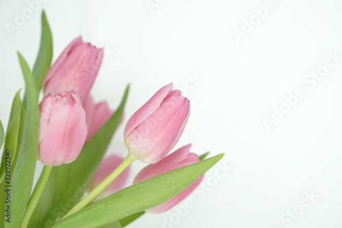 Fototapeta Naklejka Na Ścianę i Meble -  Spring is here: pink tulip bouquet