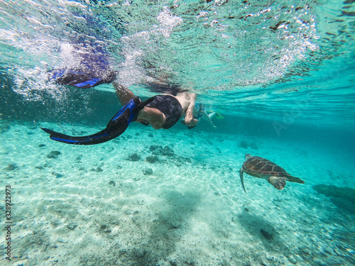 A sea turtle swimming underwater