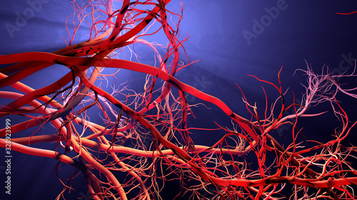 New blood vessel formation photo