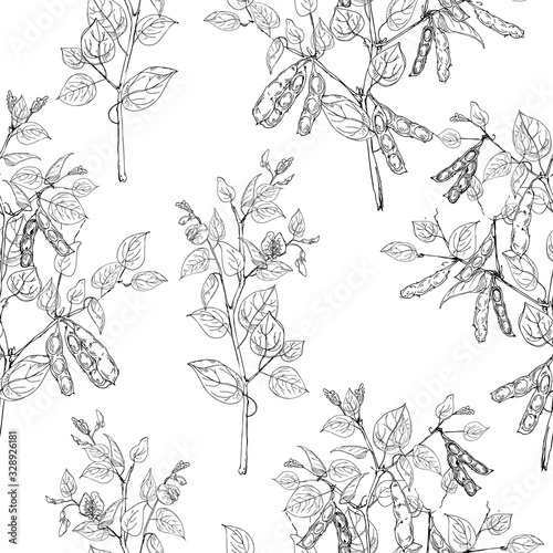 Seamless pattern with legume crops