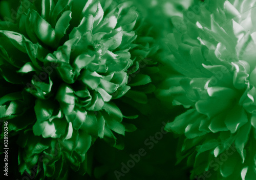 Beautiful abstract color white and green flowers on black background and light black and dark flower frame and green leaves texture, dark background, green banner happy 