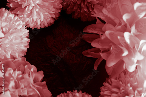 Beautiful abstract color pink and red flowers graphic on black background and light black and pink flower frame and pink leaves texture, dark background, red banner happy valentine © Weerayuth