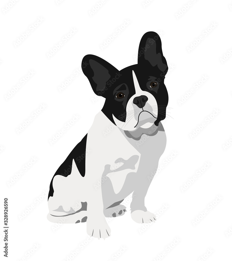 Abstract dog vector illustration.  Bulldog sit.