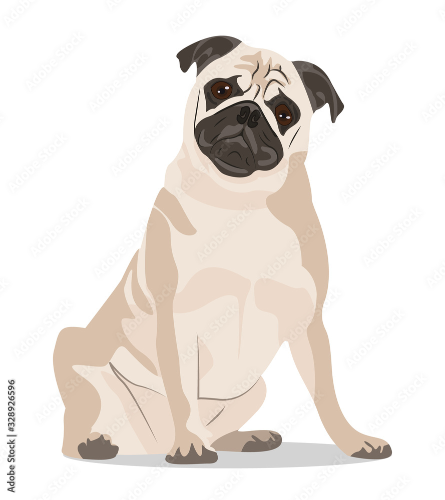 Abstract dog vector illustration. Pug sit on the white background. Abstract dog vector illustration. Pug sit on the white background.