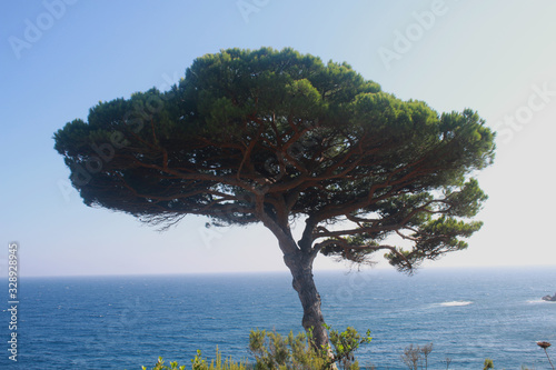 pin maritime en espagne