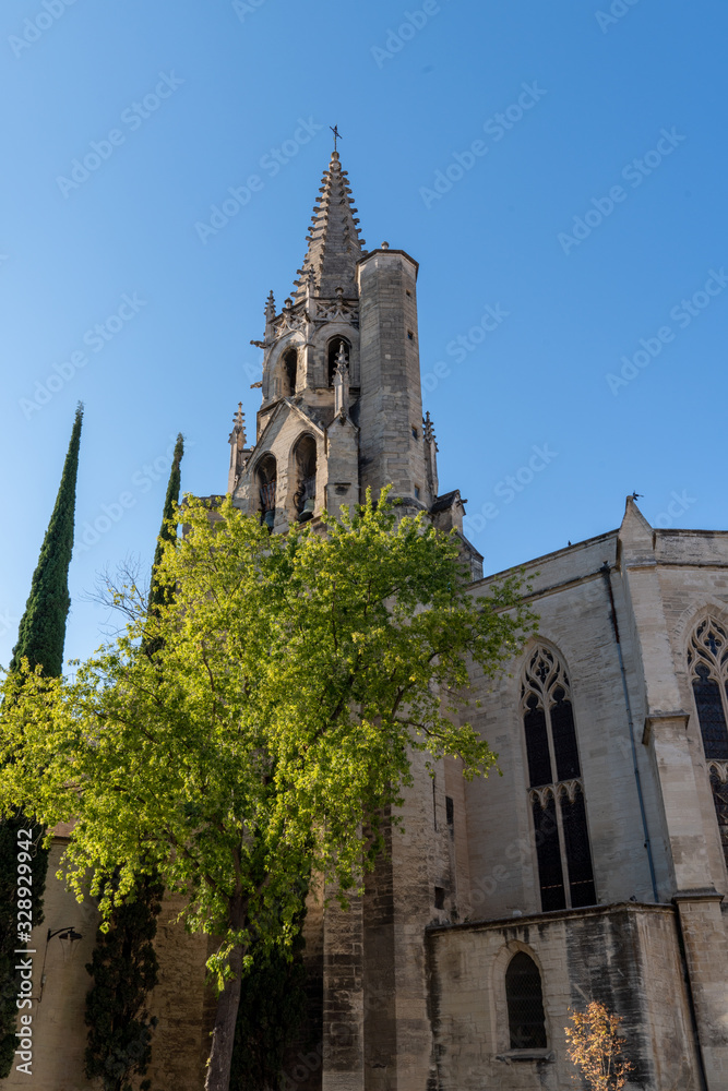 Medieval Popes Palace Saint-Benezet in Avignon city Provence France