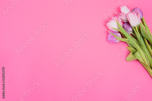 Floral background with tulips flowers on pink pastel background. Flat lay, top view. Woman day background. © Serhii