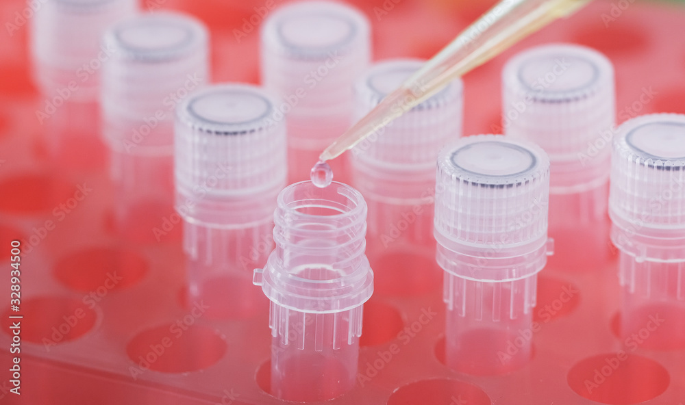 Transparent liquid is dropped from a pipette into a small test tube that stands in a red eppendorf stand. Transparent liquid is dropped from a pipette into a small test tube that stands in a red eppendorf stand.