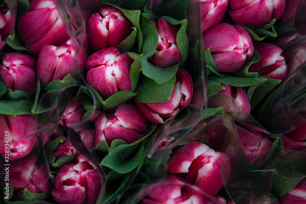Undisclosed red tulips top view. Undisclosed red tulips top view.