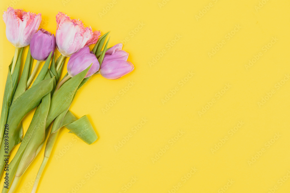 summer spring tulips on yellow background summer spring tulips on yellow background