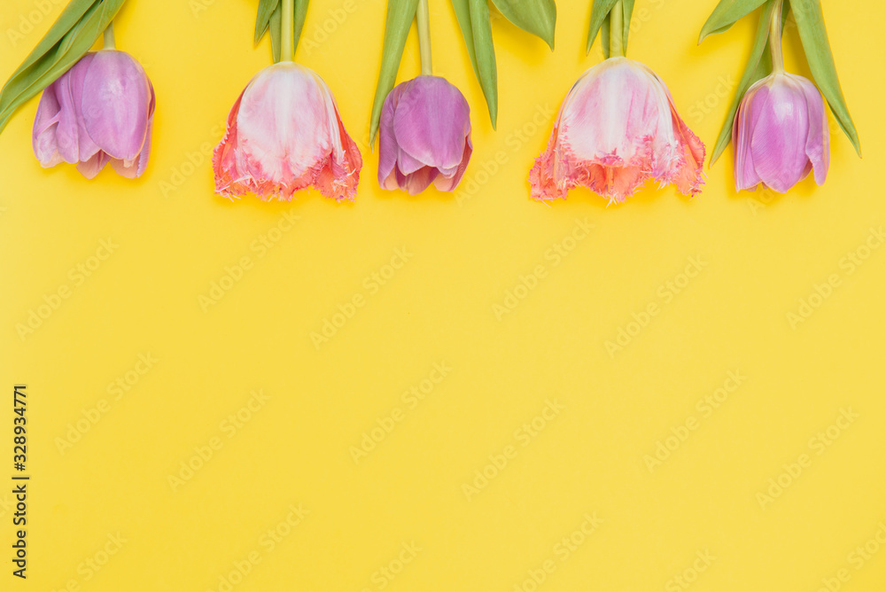summer spring tulips on yellow background summer spring tulips on yellow background