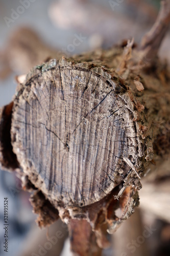 close up of tree pattern