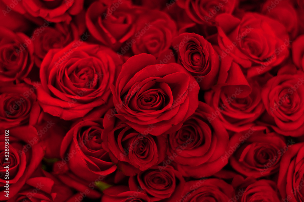 Bouquet of red roses, top view