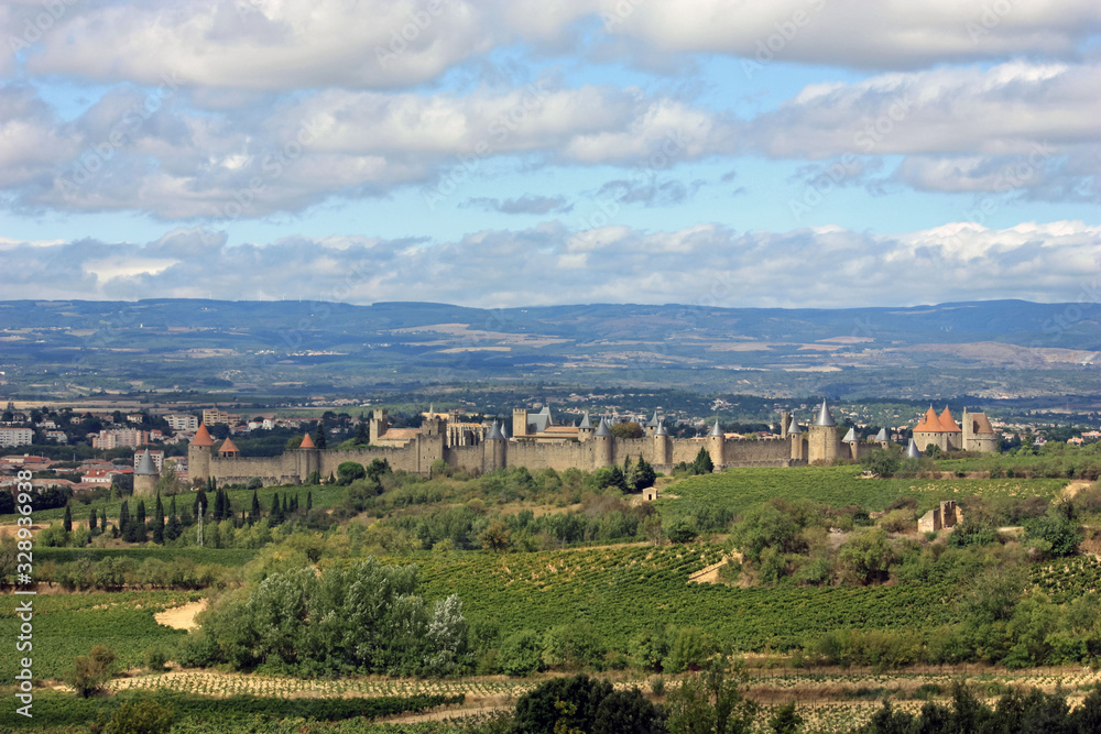 Vue sur la cité Médiévale de Carcassonne
