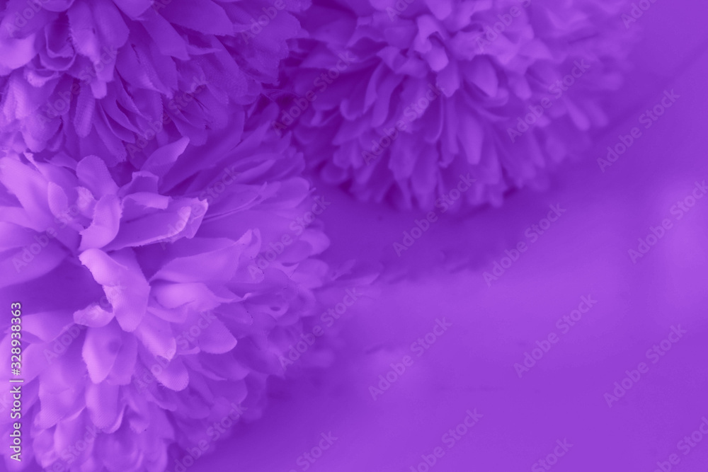 Beautiful abstract color blue and purple flowers on white background and blue flower frame and pink leaves texture, light purple background, colorful banner happy valentine Beautiful abstract color blue and purple flowers on white background and blue flower frame and pink leaves texture, light purple background, colorful banner happy valentine