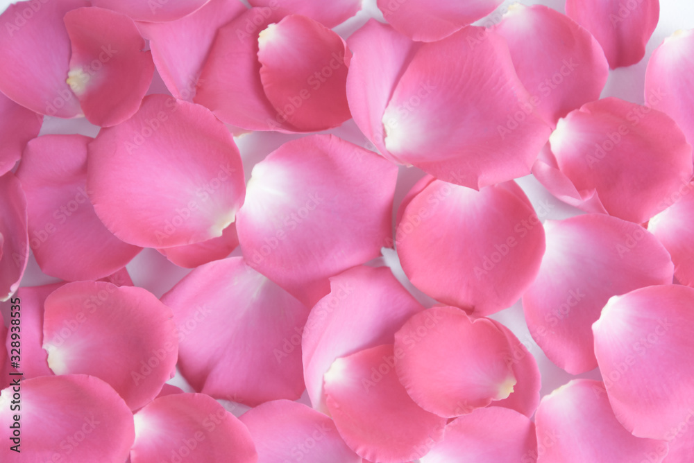 Lots of pink rose petals. The view from the top. Background, postcard, romance, wedding invitation.