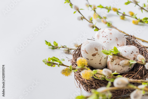 Canvas Print Composition with green buds on branches, decorative nest with easter eggs on a l