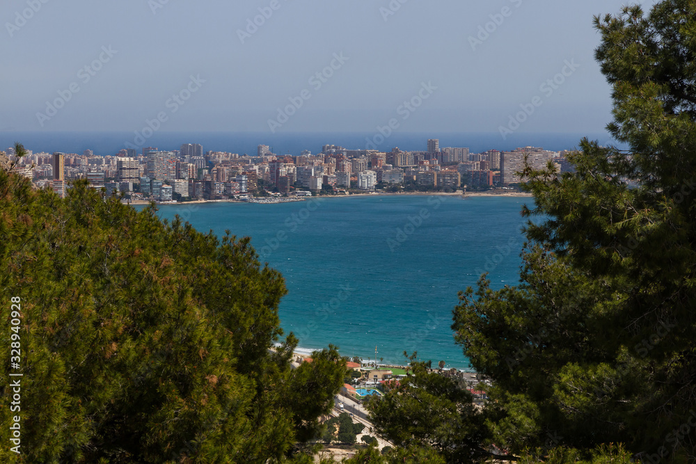 View of Cabo de la Huerta from the Castle of Alicante framed among pine trees