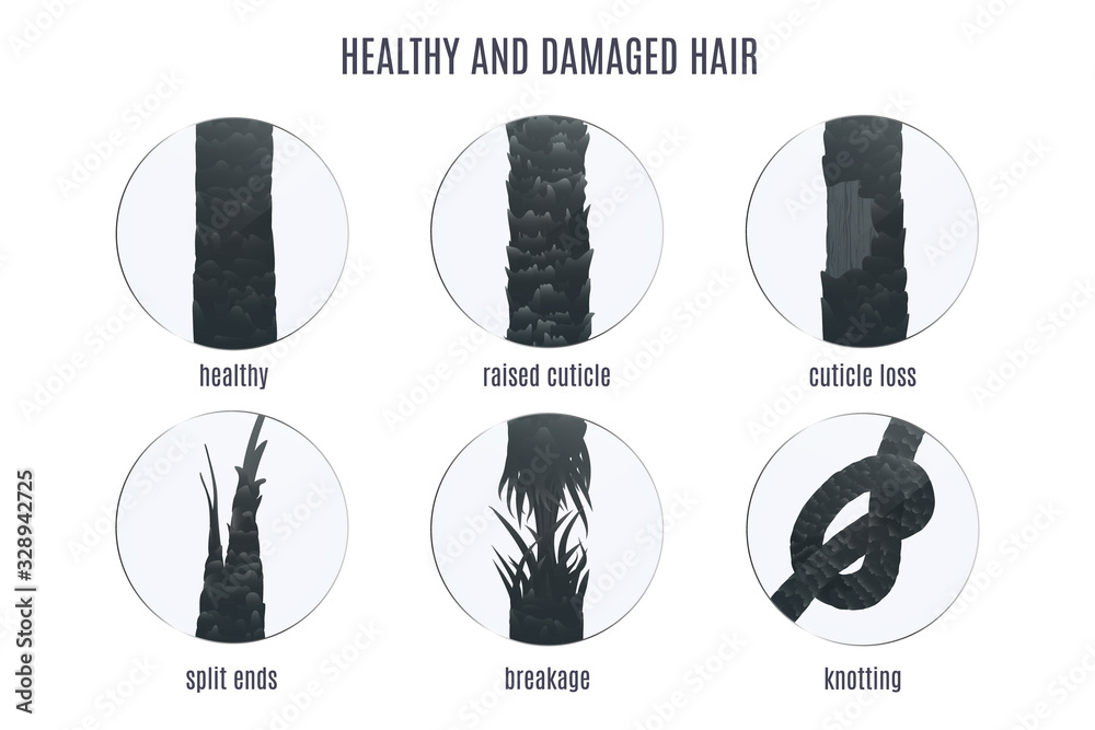 दो मुंहे बालों की समस्या से राहत के लिए 5 हेयर केयर टिप्स | Hair Care Tips  To Prevent Split Ends Problem In Hindi | Onlymyhealth