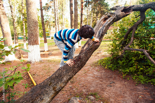 Fototapeta Naklejka Na Ścianę i Meble -  little cute boy climbing on tree, lifestyle people concept