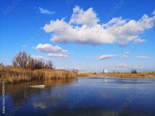 Reeds on the lake - delta landscape