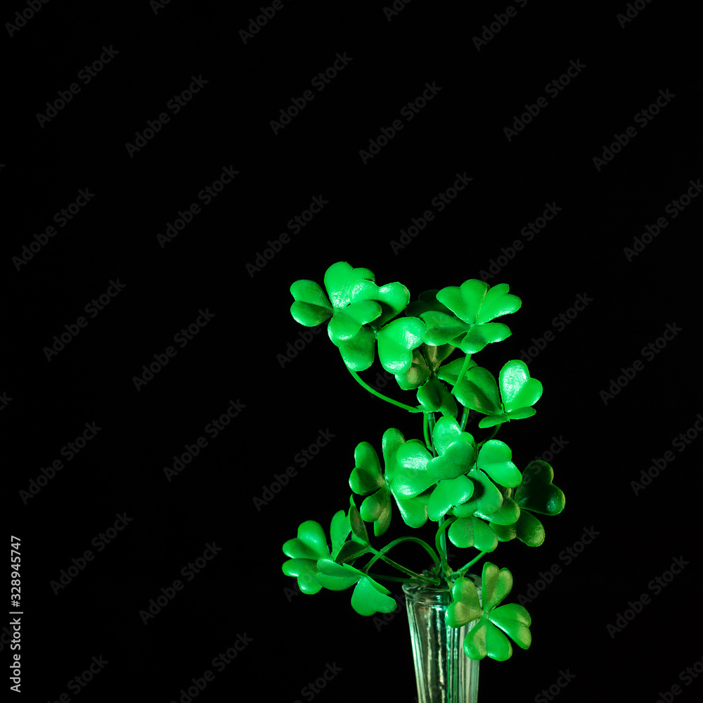 Leaves of green shamrock on the black background as a symbol of traditional irish holiday Saint Patrick's Day.
