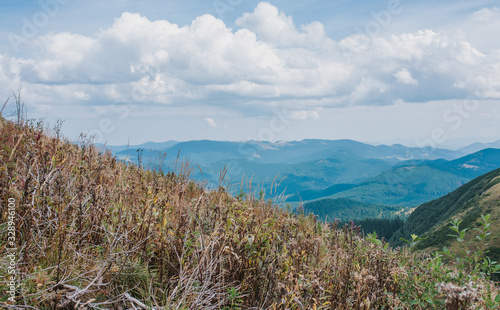 View of Carpathian mountains, Ukraine. Travel and nature concept