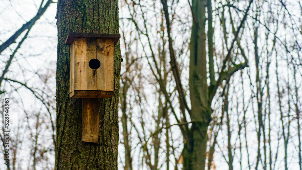 Simple handmade wooden bird nesting box on a tree. Birdhouse on the blurry background of rees and gloomy sky. Simple handmade wooden bird nesting box on a tree. Birdhouse on the blurry background of rees and gloomy sky.