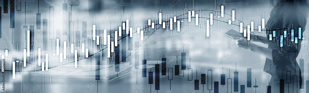 Financial Stock Market Graph. Website Economic Banner.