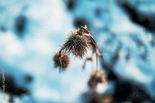 The beginning of spring. Nature awakens from winter. Thawed snow, flowers, trees, streams, bushes, grass and land.