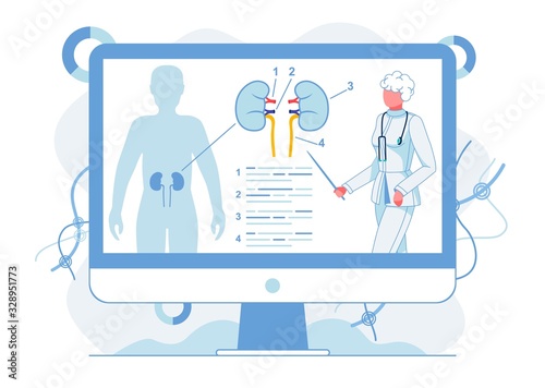 Human Kidneys Functions Study Vector Illustration