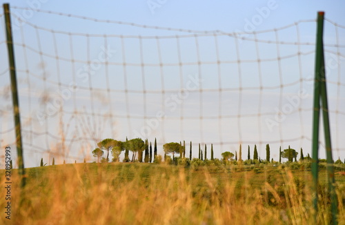 Liebliches Panorama der Crete Senesi hinter einem großmaschigen Zaun photo