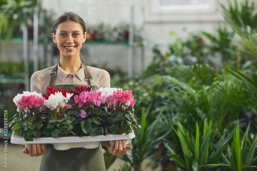 Waist up portrait of smiling young woman holding tray of potted plants while standing in flower shop, copy space