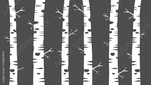 grey and white birch tree trunks design, decorative forest vector background