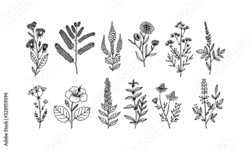 set of flower lineart for wedding and vintage decoration  floral illustration vector 