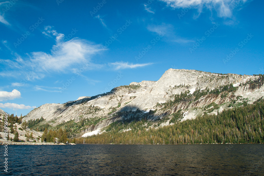 View of the beautiful Tenaya Lake with granite peaks and pine trees in the background. Tioga Pass in Yosemite National Park, California, USA.