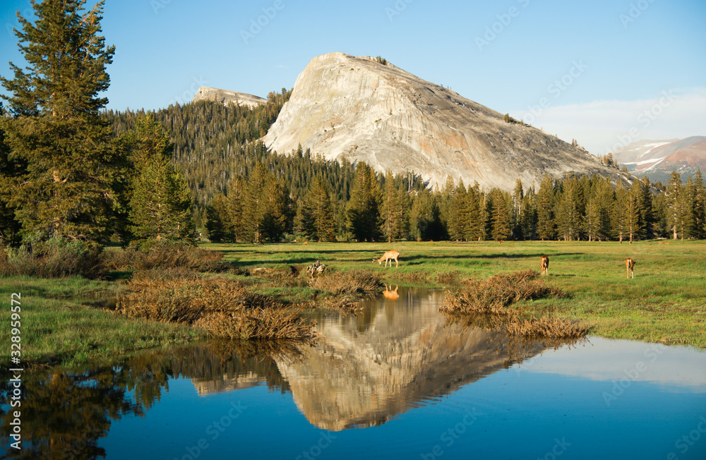 Φωτογραφία Landscape of Tuolumne Meadows and Lembert Dome with reflections in calm water, Y