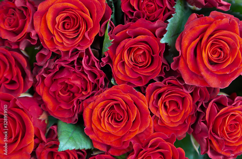 Natural red roses background. Bouquet of red roses on a black background. Top view. close up on red roses.
