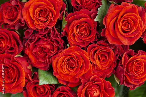 Natural red roses background. Bouquet of red roses on a black background. Top view. close up on red roses.
