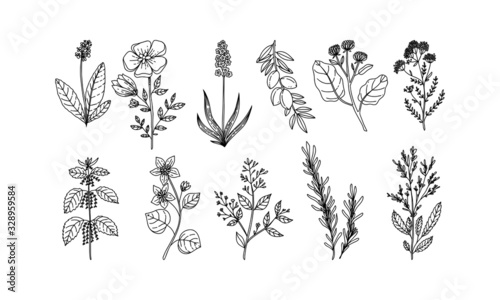 set of flower lineart for wedding and vintage decoration, floral illustration vector 