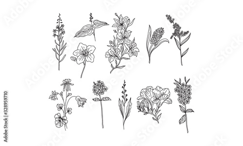 set of flower lineart for wedding and vintage decoration, floral illustration vector	