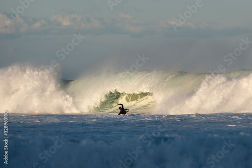 Surfer wiping out, Sydney Australia