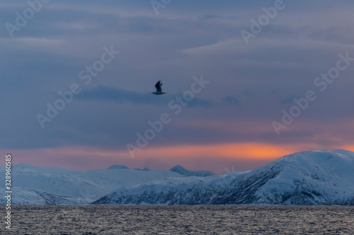 Winter Northern Norway landscape