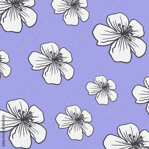 Cherry blossom blue pattern blooming spring white flowers floral botanical background illustration for card design